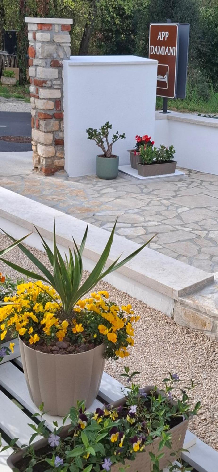 Apartment Damiani Umag Exterior photo